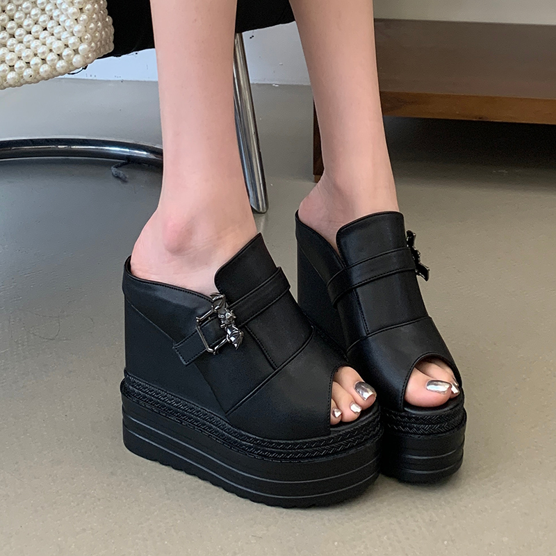 Women's Summer Outdoor Slippers 12cm High Heel Wedge One-Band Open Toe Platform Sandals 34-39 - Image 2